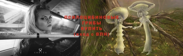 соль ск Балабаново
