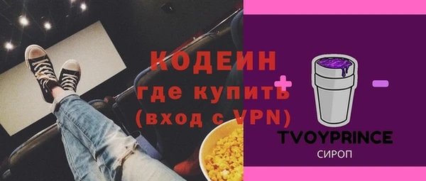 хмурый Семилуки