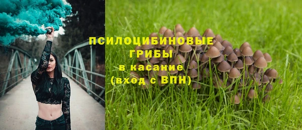 2c-b Балахна