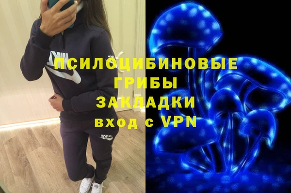 хмурый Семилуки